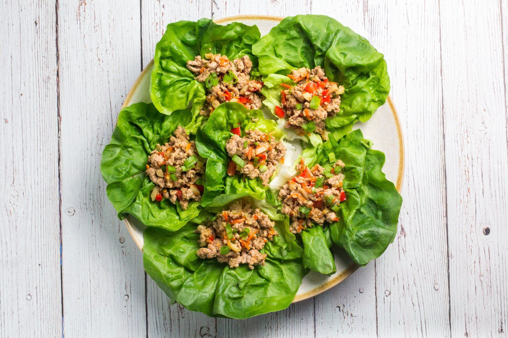 Low FODMAP Teriyaki Ginger Turkey Lettuce Wraps Recipe FODY Food Co. USA