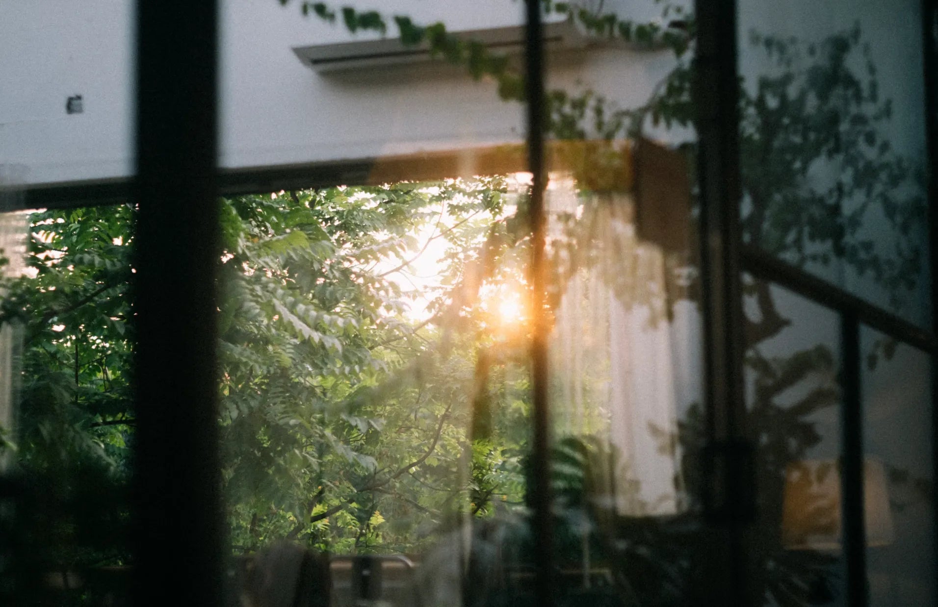 Your Gut-Healthy Summer Routine: Morning to Night IBS Habits