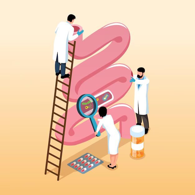 IBS Treatment Options: What Actually Works (And What Doesn't)